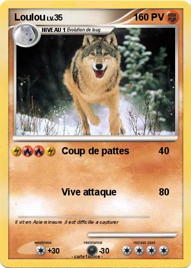 Pokemon Loulou