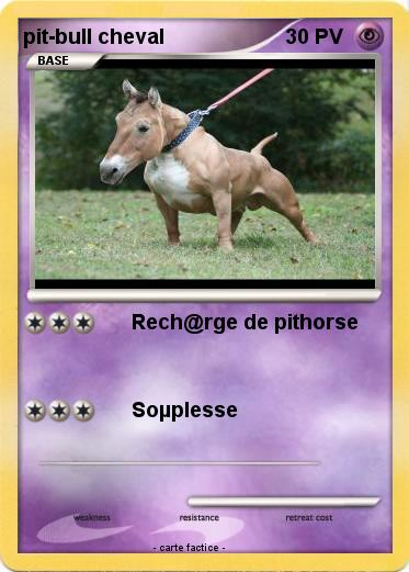 Pokemon pit-bull cheval