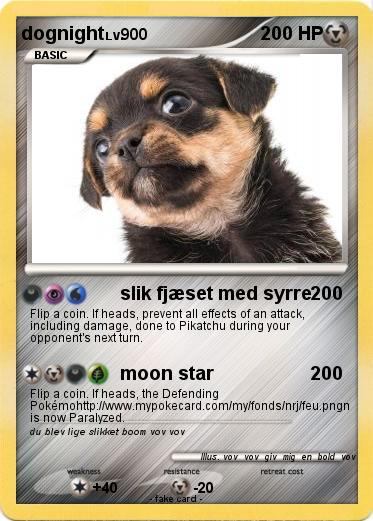 Pokemon dognight