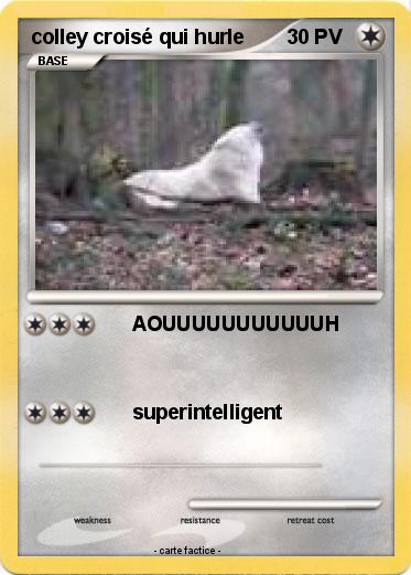 Pokemon colley croisé qui hurle