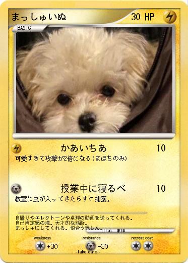 Pokemon まっしゅいぬ