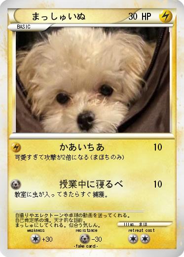 Pokemon まっしゅいぬ