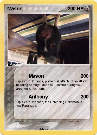 Pokemon Mason