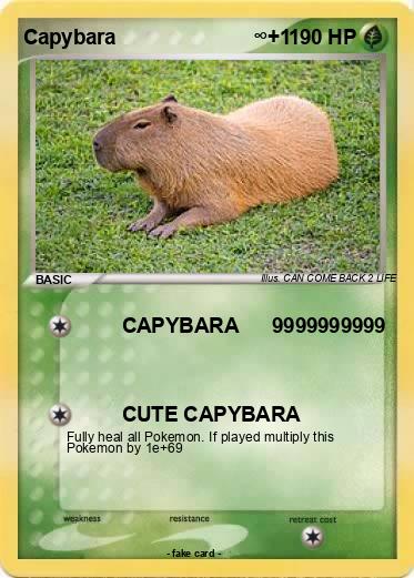 Pokemon Capybara                        ∞+1