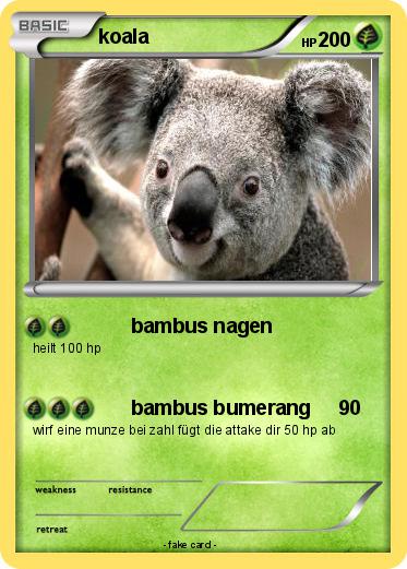 Pokemon koala