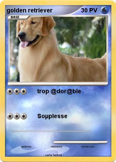 Pokemon golden retriever