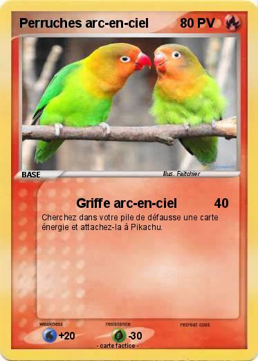 Pokemon Perruches arc-en-ciel