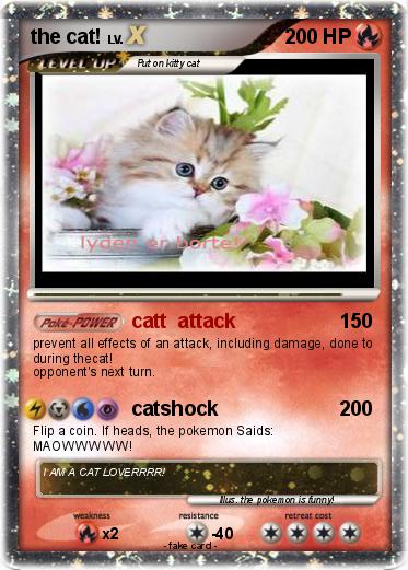 Pokemon the cat!