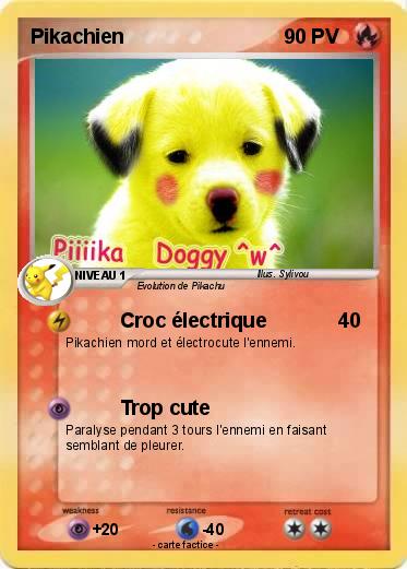 Pokemon Pikachien