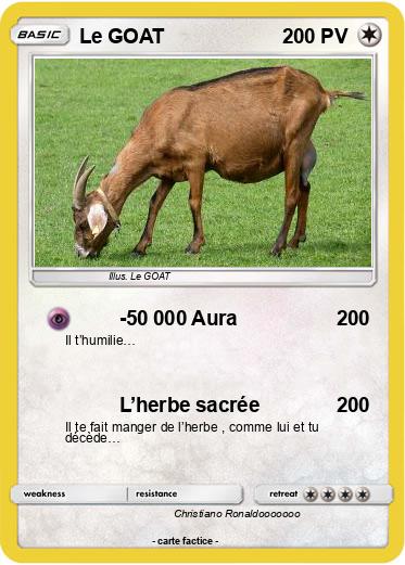 Pokemon Le GOAT