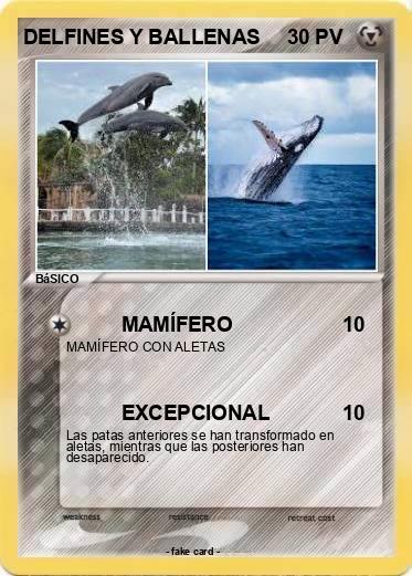 Pokemon DELFINES Y BALLENAS