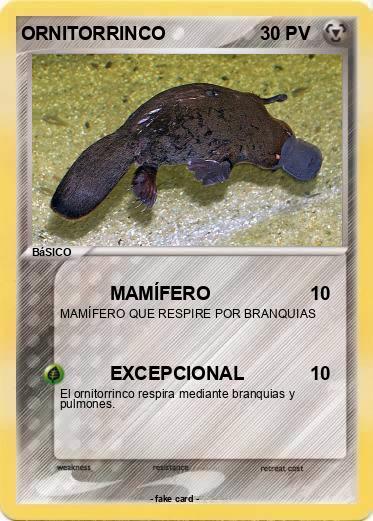 Pokemon ORNITORRINCO