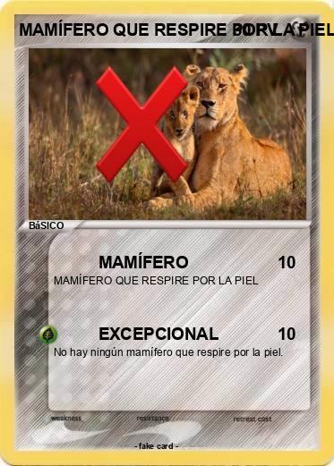 Pokemon MAMÍFERO QUE RESPIRE POR LA PIEL