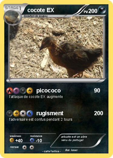 Pokemon cocote EX