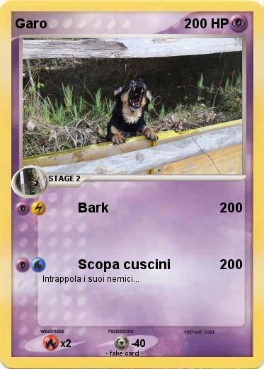 Pokemon Garo