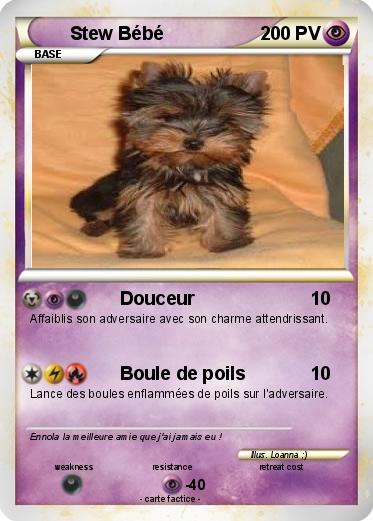 Pokemon Stew Bébé