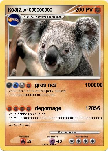 Pokemon koala