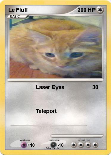 Pokemon Le Fluff
