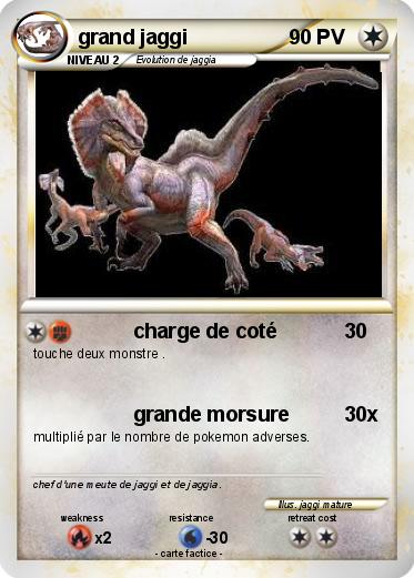 Pokemon grand jaggi