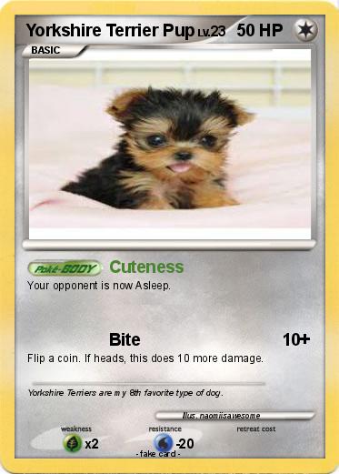 Pokemon Yorkshire Terrier Pup