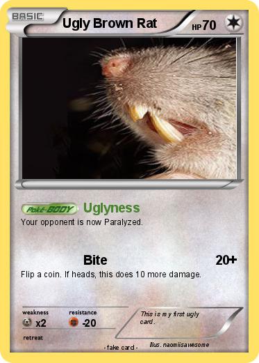 Pokemon Ugly Brown Rat