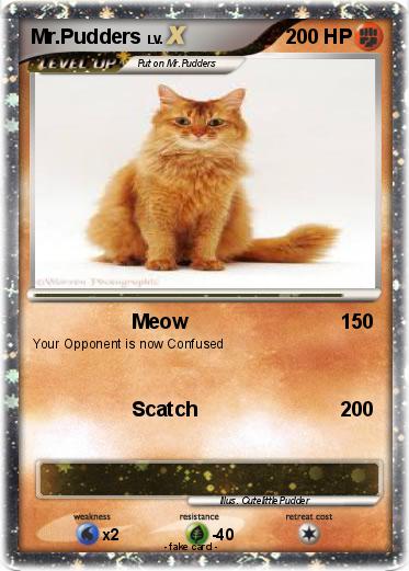 Pokemon Mr.Pudders