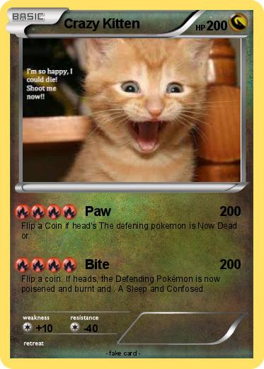 Pokemon Crazy Kitten
