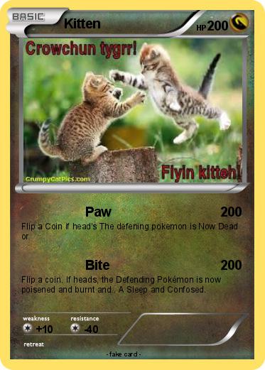 Pokemon Kitten