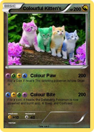 Pokemon Colourful Kitten's