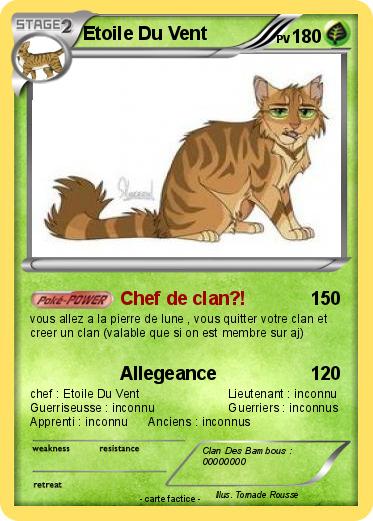 Pokemon Etoile Du Vent