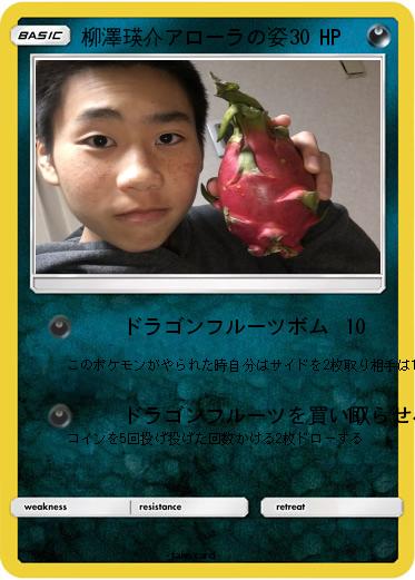 Pokemon 柳澤瑛介アローラの姿