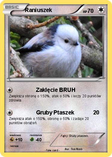 Pokemon Raniuszek