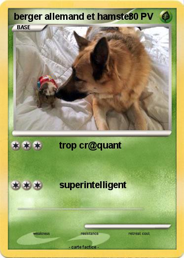 Pokemon berger allemand et hamster
