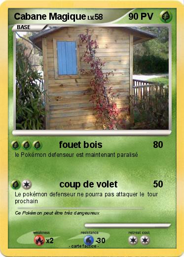 Pokemon Cabane Magique
