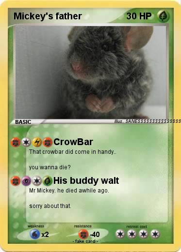 Pokemon Mickey's father