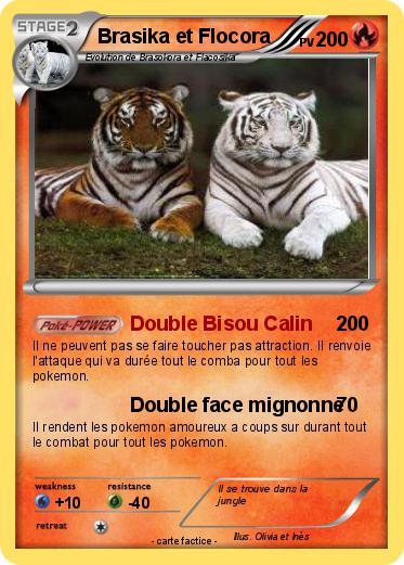 Pokemon Brasika et Flocora