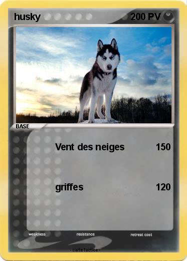 Pokemon husky