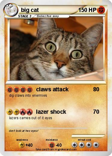 Pokemon big cat