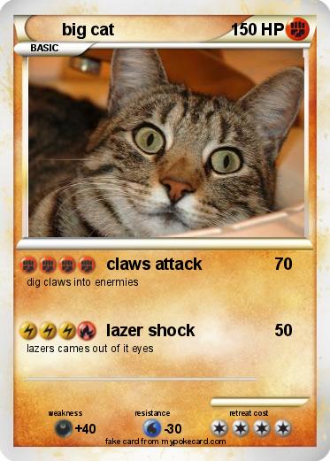 Pokemon big cat