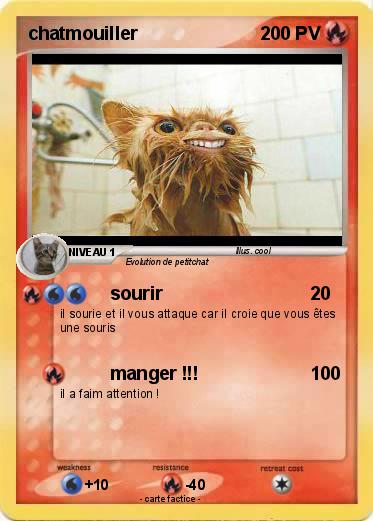 Pokemon chatmouiller
