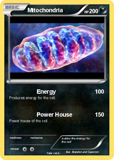 Pokemon Mitochondria
