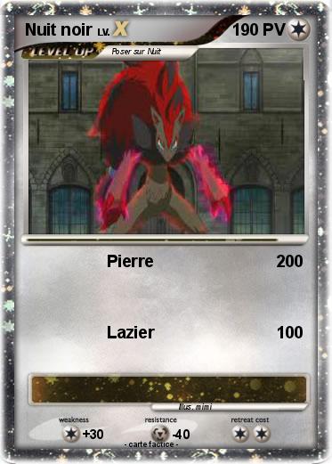 Pokemon Nuit noir