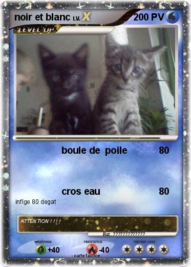 Pokemon noir et blanc