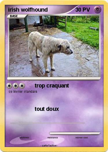 Pokemon irish wolfhound