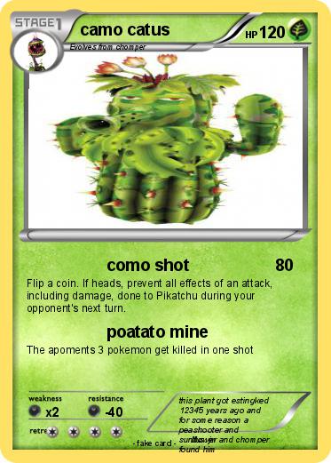 Pokemon camo catus