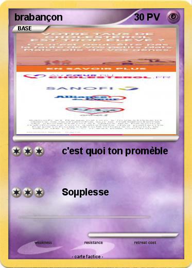 Pokemon brabançon