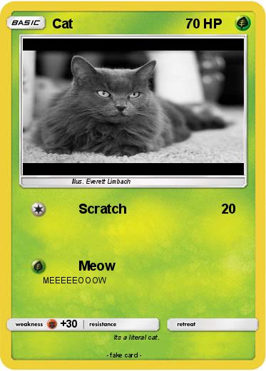 Pokemon Cat