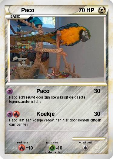 Pokemon Paco
