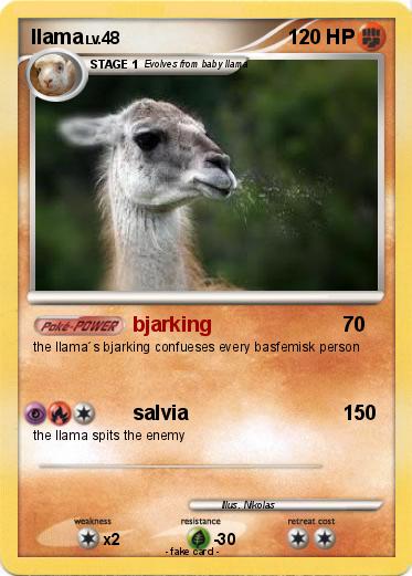 Pokemon llama