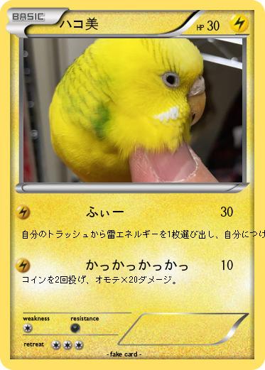 Pokemon ハコ美